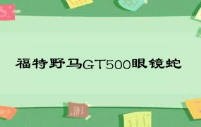 福特野马GT500眼镜蛇