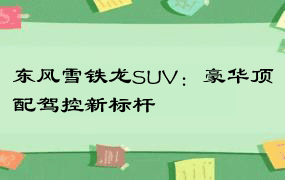 东风雪铁龙SUV：豪华顶配驾控新标杆