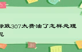 标致307太费油了怎样处理呢