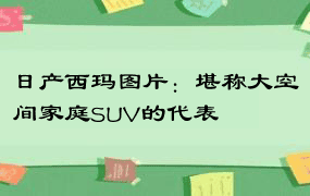 日产西玛图片：堪称大空间家庭SUV的代表