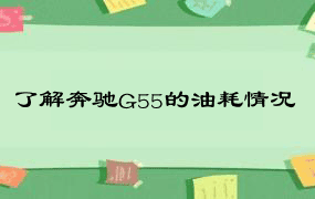 了解奔驰G55的油耗情况