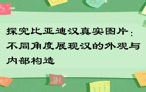 探究比亚迪汉真实图片：不同角度展现汉的外观与内部构造