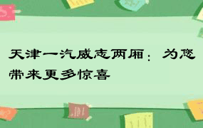 天津一汽威志两厢：为您带来更多惊喜