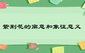 紫荆花的寓意和象征意义