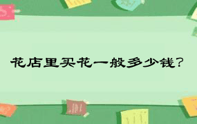 花店里买花一般多少钱？