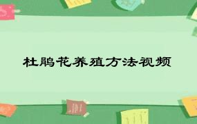 杜鹃花养殖方法视频