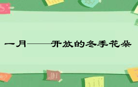 一月——开放的冬季花朵