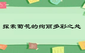 探索菊花的绚丽多彩之处