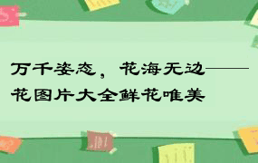 万千姿态，花海无边——花图片大全鲜花唯美