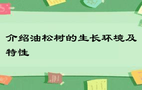 介绍油松树的生长环境及特性