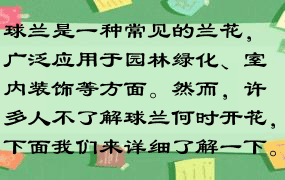 球兰是一种常见的兰花，广泛应用于园林绿化、室内装饰等方面。然而，许多人不了解球兰何时开花，下面我们来详细了解一下。