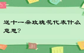 送十一朵玫瑰花代表什么意思？