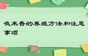 夜来香的养殖方法和注意事项