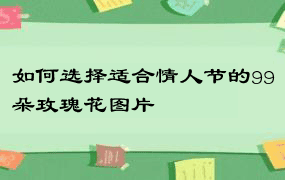 如何选择适合情人节的99朵玫瑰花图片