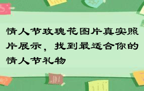 情人节玫瑰花图片真实照片展示，找到最适合你的情人节礼物