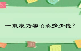 一束康乃馨10朵多少钱？