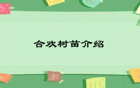 合欢树苗介绍