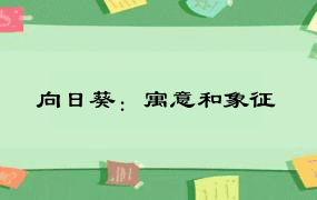 向日葵：寓意和象征