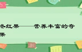 冬红果——营养丰富的奇果