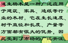 速生杨木是一种广泛应用于建筑、家具、造纸等行业的木材。它在生长速度、树干直径和长度、产量等方面都有很大的优势，因此受到了市场的广泛关注。