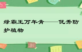 绿霸王万年青——优秀防护植物