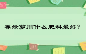 养绿萝用什么肥料最好？