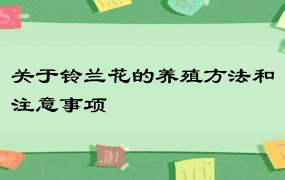 关于铃兰花的养殖方法和注意事项