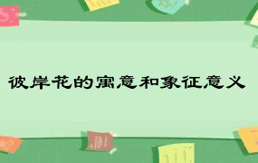 彼岸花的寓意和象征意义