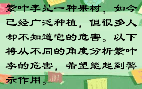 紫叶李是一种果树，如今已经广泛种植，但很多人却不知道它的危害。以下将从不同的角度分析紫叶李的危害，希望能起到警示作用。