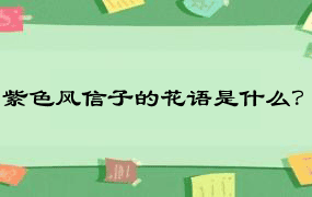 紫色风信子的花语是什么？