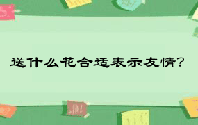 送什么花合适表示友情？