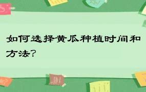 如何选择黄瓜种植时间和方法？