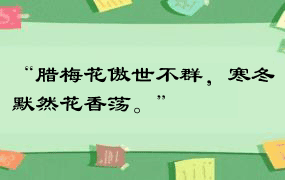 “腊梅花傲世不群，寒冬默然花香荡。”