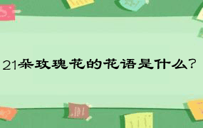 21朵玫瑰花的花语是什么？