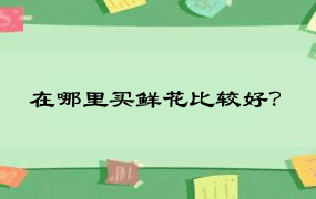 在哪里买鲜花比较好？