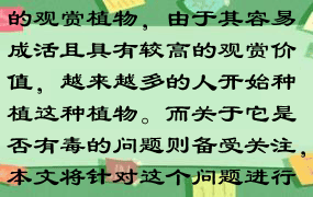 大叶落地生根是一种常见的观赏植物，由于其容易成活且具有较高的观赏价值，越来越多的人开始种植这种植物。而关于它是否有毒的问题则备受关注，本文将针对这个问题进行探讨。