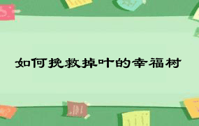 如何挽救掉叶的幸福树