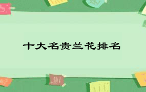 十大名贵兰花排名