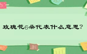 玫瑰花6朵代表什么意思？