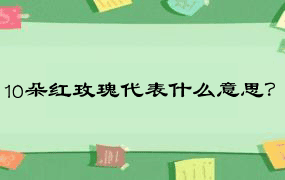 10朵红玫瑰代表什么意思？