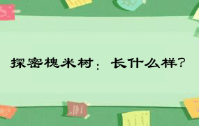 探密槐米树：长什么样？