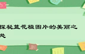 探秘蓝花楹图片的美丽之处