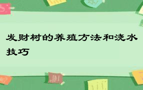 发财树的养殖方法和浇水技巧