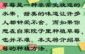 草莓是一种非常受欢迎的水果，甜美的味道让许多人都钟爱不舍。而如果你想在自家院子里种植草莓，也并不难。本文将介绍草莓的种植方法。