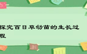 探究百日草幼苗的生长过程