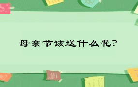 母亲节该送什么花？