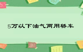 5万以下油气两用轿车