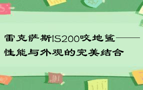 雷克萨斯IS200咬地鲨——性能与外观的完美结合