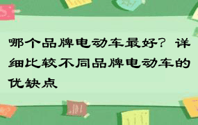 哪个品牌电动车最好？详细比较不同品牌电动车的优缺点