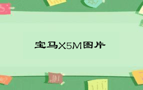 宝马X5M图片